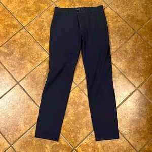 Everlane Navy Chinos